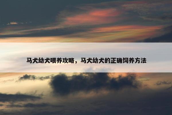 马犬幼犬喂养攻略，马犬幼犬的正确饲养方法