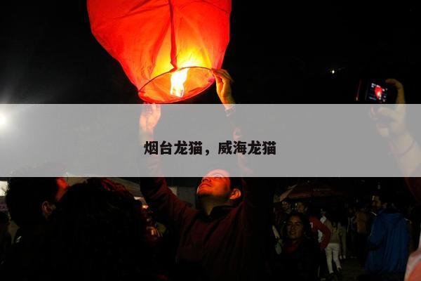 烟台龙猫，威海龙猫