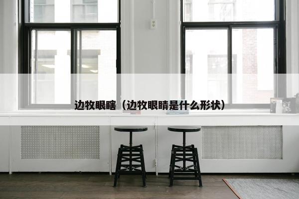 边牧眼瞎（边牧眼睛是什么形状）