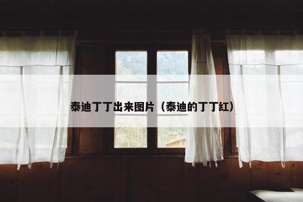 泰迪丁丁出来图片（泰迪的丁丁红）