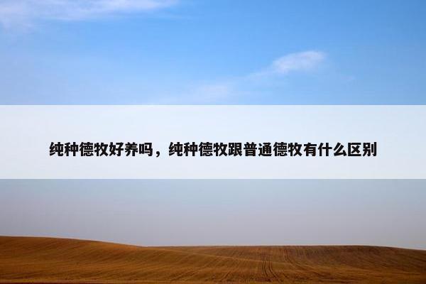 纯种德牧好养吗，纯种德牧跟普通德牧有什么区别
