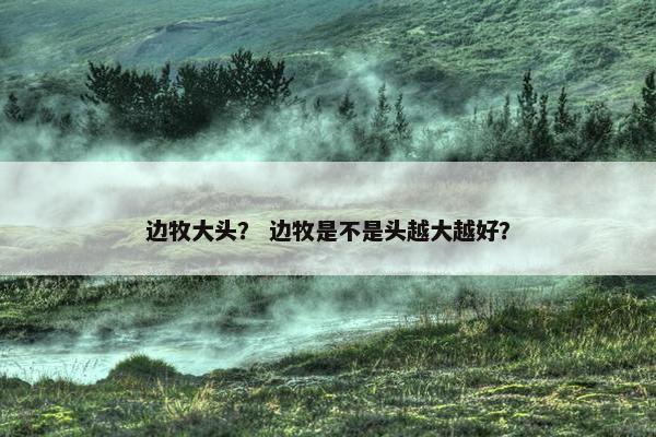 边牧大头？ 边牧是不是头越大越好？