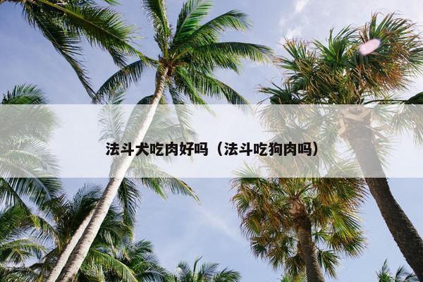 法斗犬吃肉好吗（法斗吃狗肉吗）