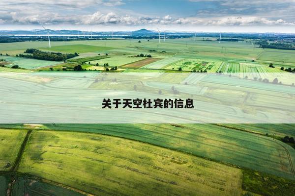 关于天空杜宾的信息