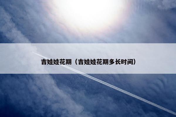 吉娃娃花期（吉娃娃花期多长时间）