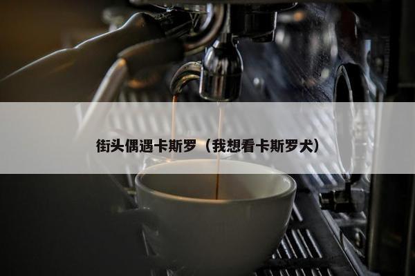 街头偶遇卡斯罗（我想看卡斯罗犬）