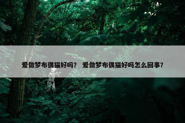 爱做梦布偶猫好吗？ 爱做梦布偶猫好吗怎么回事？