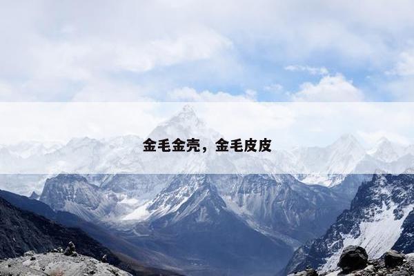 金毛金壳，金毛皮皮