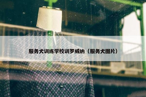 服务犬训练学校训罗威纳（服务犬图片）