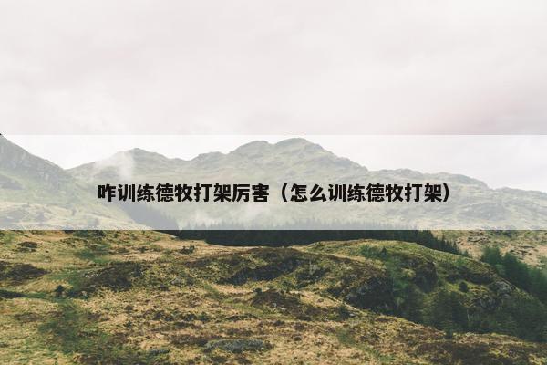 咋训练德牧打架厉害（怎么训练德牧打架）