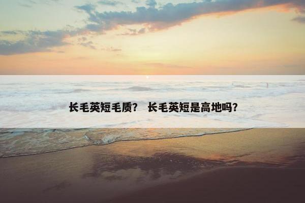 长毛英短毛质？ 长毛英短是高地吗？