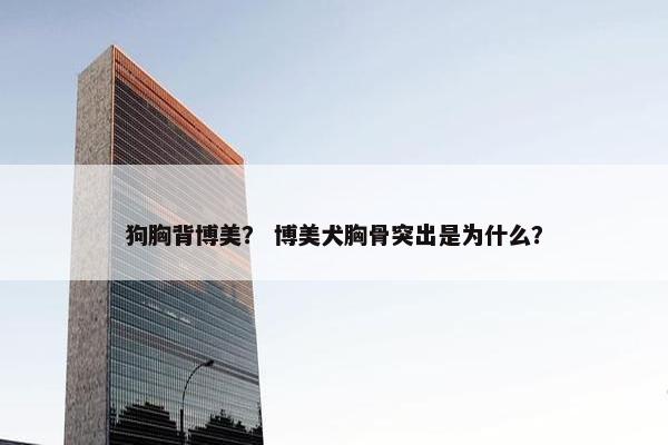 狗胸背博美？ 博美犬胸骨突出是为什么？