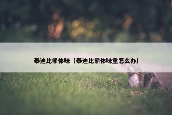 泰迪比熊体味（泰迪比熊体味重怎么办）