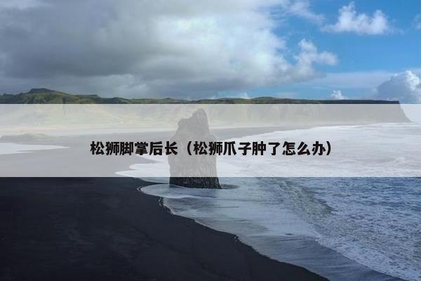 松狮脚掌后长（松狮爪子肿了怎么办）