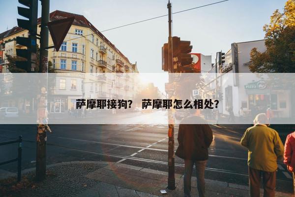 萨摩耶接狗？ 萨摩耶怎么相处？