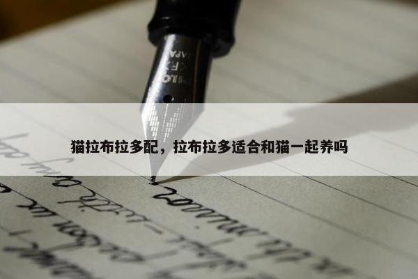 猫拉布拉多配，拉布拉多适合和猫一起养吗