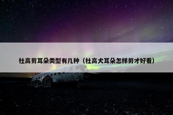 杜高剪耳朵类型有几种（杜高犬耳朵怎样剪才好看）