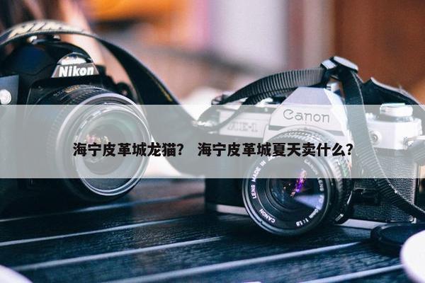 海宁皮革城龙猫？ 海宁皮革城夏天卖什么？