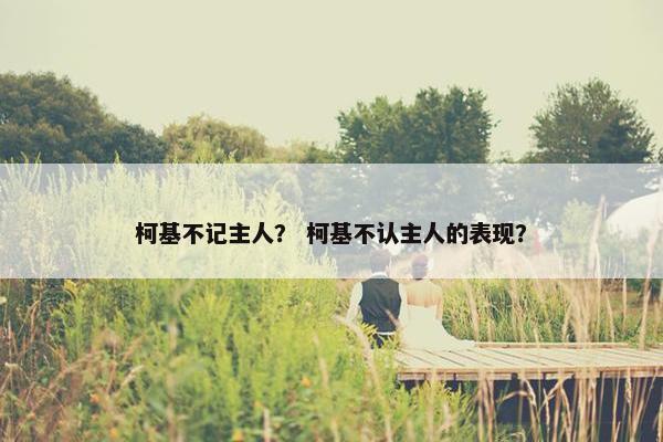 柯基不记主人？ 柯基不认主人的表现？