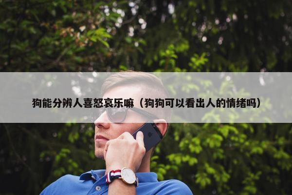 狗能分辨人喜怒哀乐嘛（狗狗可以看出人的情绪吗）
