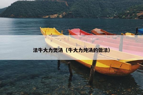 法牛大力煲汤（牛大力炖汤的做法）
