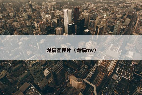龙猫宣传片（龙猫mv）