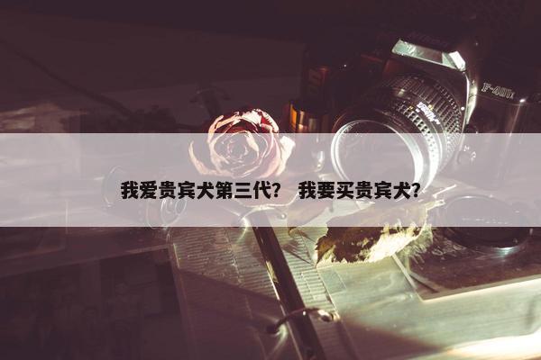 我爱贵宾犬第三代？ 我要买贵宾犬？