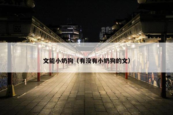 文能小奶狗（有没有小奶狗的文）