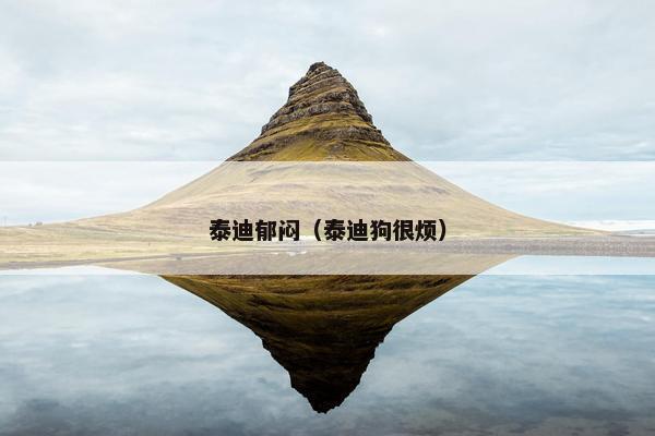 泰迪郁闷（泰迪狗很烦）