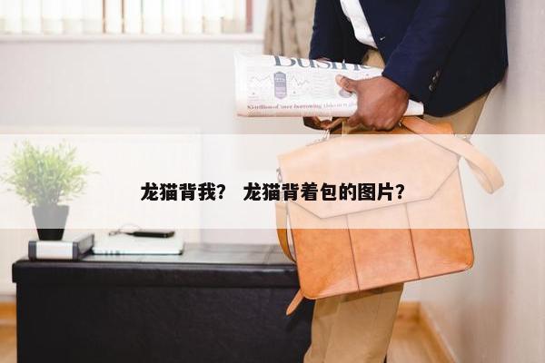 龙猫背我？ 龙猫背着包的图片？