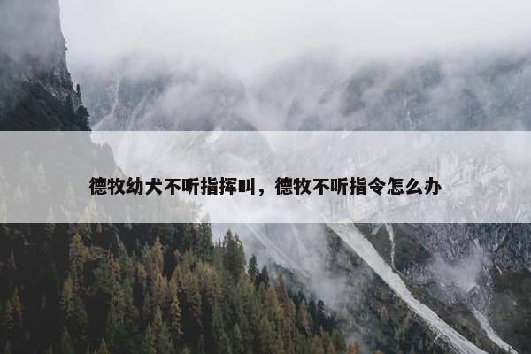 德牧幼犬不听指挥叫，德牧不听指令怎么办