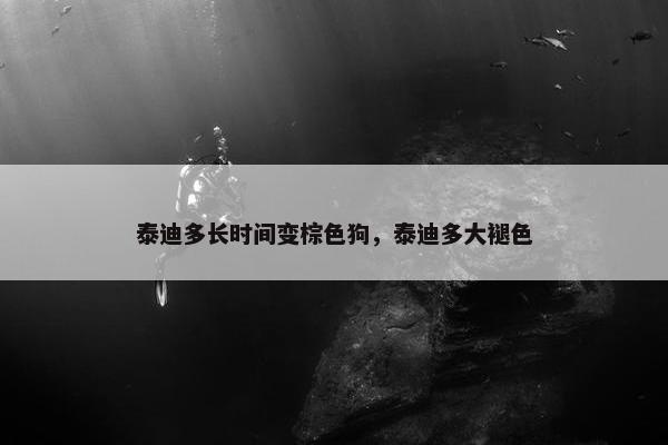 泰迪多长时间变棕色狗，泰迪多大褪色