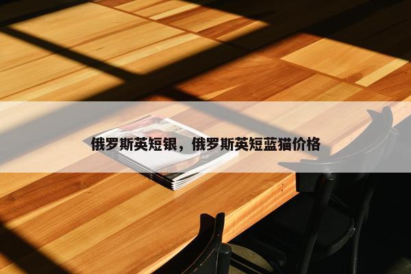 俄罗斯英短银，俄罗斯英短蓝猫价格