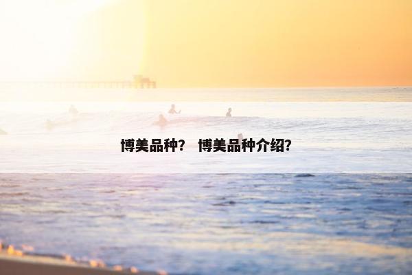 博美品种？ 博美品种介绍？