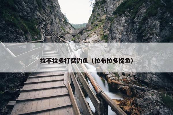 拉不拉多打窝钓鱼（拉布拉多捉鱼）