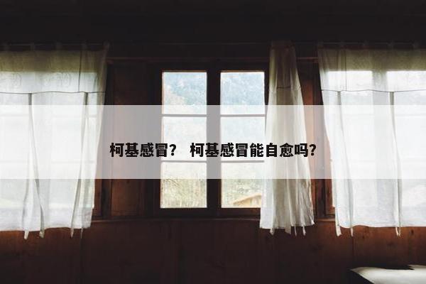 柯基感冒？ 柯基感冒能自愈吗？