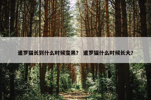 暹罗猫长到什么时候变黑？ 暹罗猫什么时候长大？