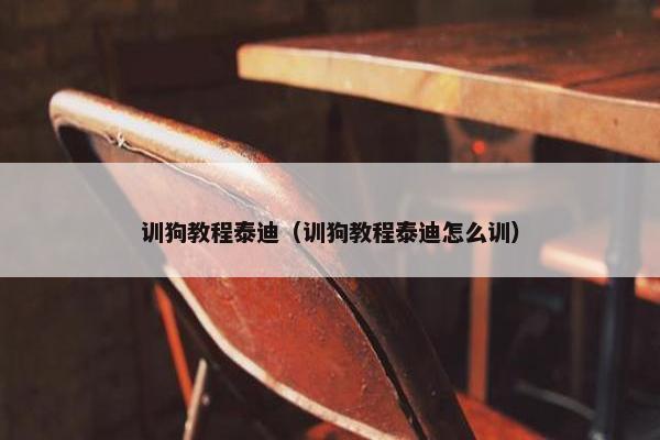 训狗教程泰迪（训狗教程泰迪怎么训）