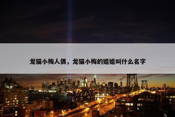 龙猫小梅人偶，龙猫小梅的姐姐叫什么名字
