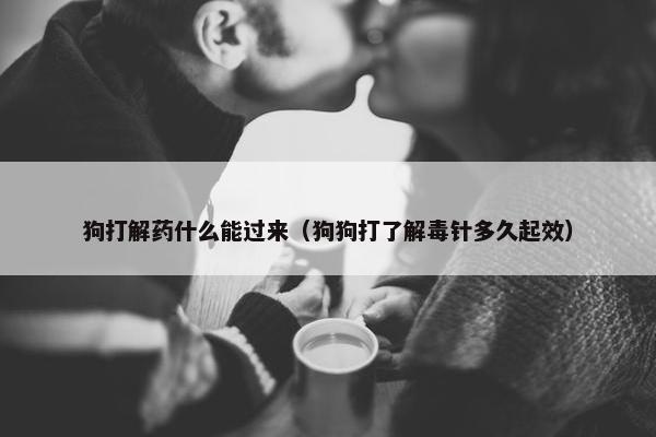 狗打解药什么能过来（狗狗打了解毒针多久起效）