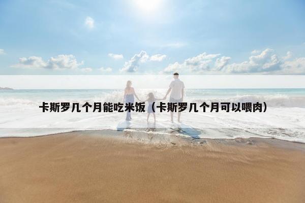 卡斯罗几个月能吃米饭（卡斯罗几个月可以喂肉）