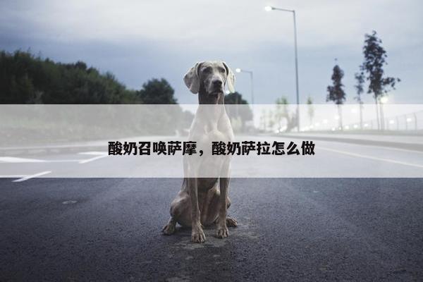酸奶召唤萨摩，酸奶萨拉怎么做