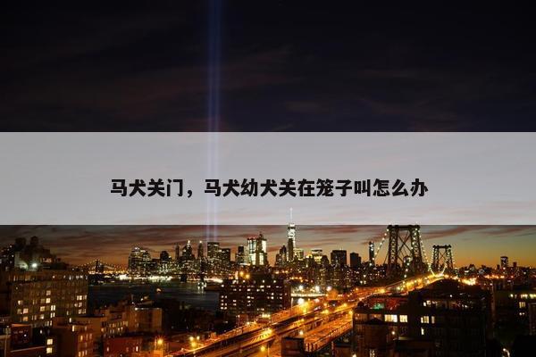 马犬关门，马犬幼犬关在笼子叫怎么办