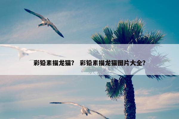 彩铅素描龙猫？ 彩铅素描龙猫图片大全？