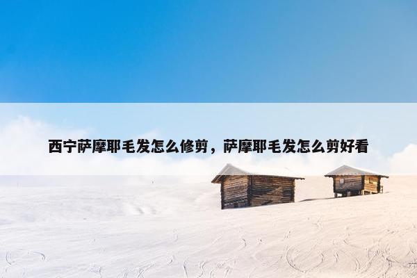 西宁萨摩耶毛发怎么修剪，萨摩耶毛发怎么剪好看