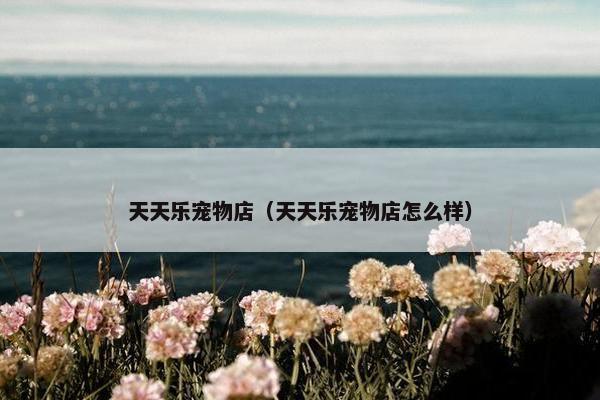 天天乐宠物店（天天乐宠物店怎么样）