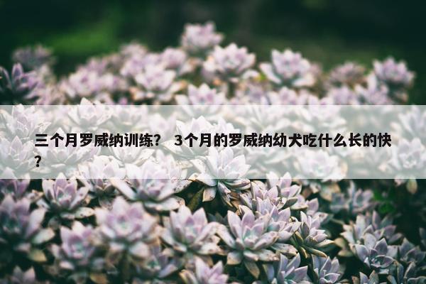 三个月罗威纳训练？ 3个月的罗威纳幼犬吃什么长的快？