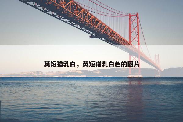 英短猫乳白，英短猫乳白色的图片