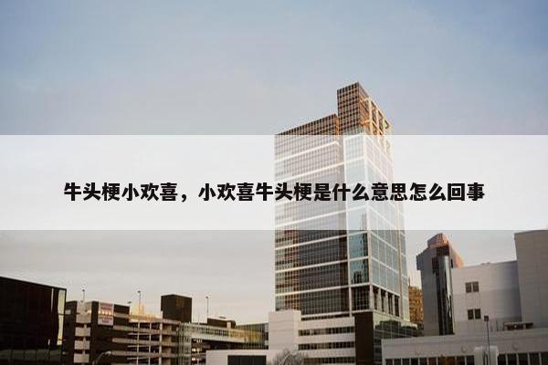 牛头梗小欢喜，小欢喜牛头梗是什么意思怎么回事