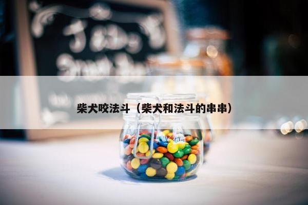 柴犬咬法斗（柴犬和法斗的串串）